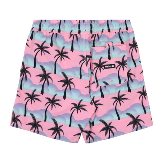 Hurley Ανδρικό μαγιό Cannonball Volley Boardshorts 17"